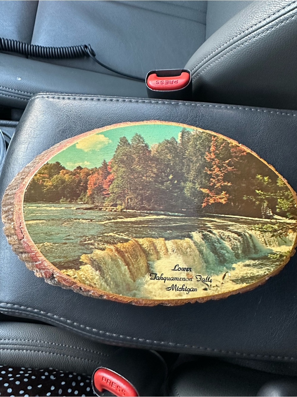 Scenic Lower Tahquamenon Falls Wood Wall Plaque - Multicolor